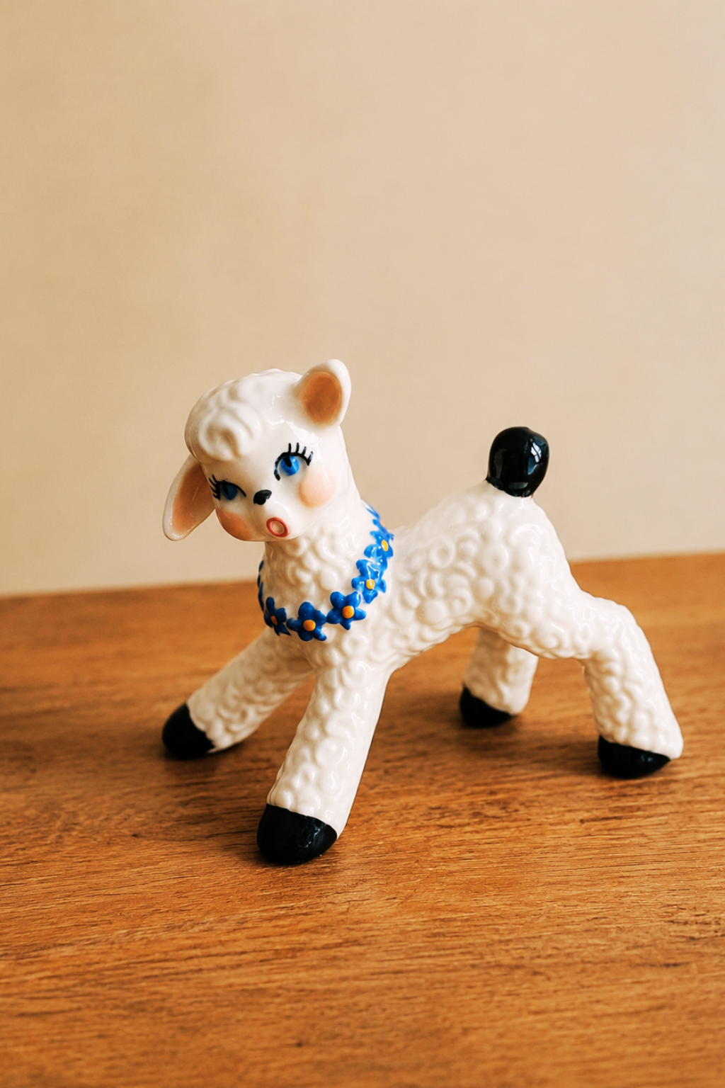 White toy poodle with a blue collar on a wooden surface